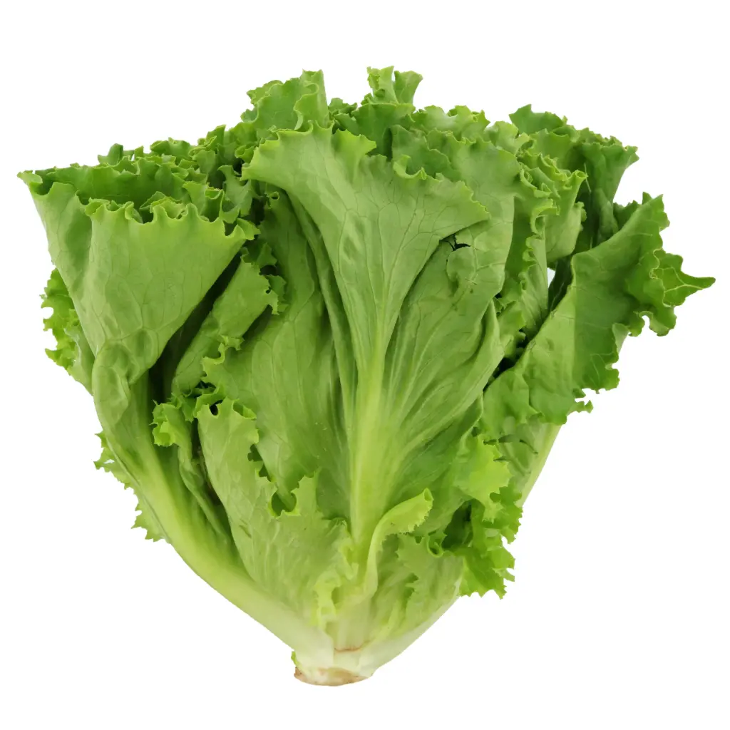 Mixed Lettuce