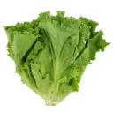 Mixed Lettuce